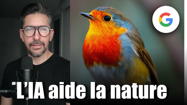 Découvrez Perch : l’IA qui va sauver les oiseaux!